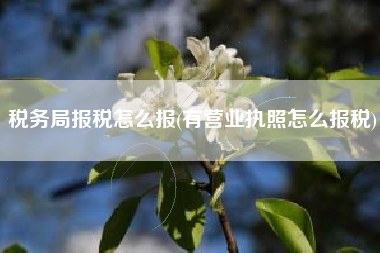 税务局报税怎么报(有营业执照怎么报税)