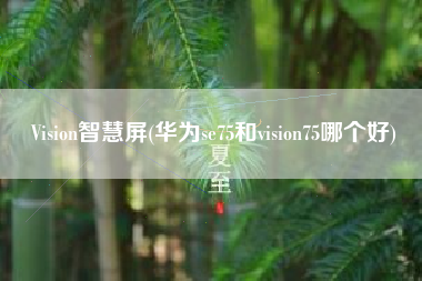 Vision智慧屏(华为se75和vision75哪个好)