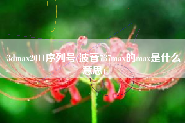 3dmax2011序列号(波音737max的max是什么意思)