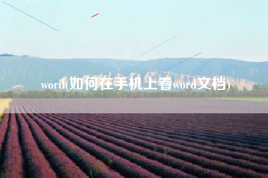 word(如何在手机上看word文档)