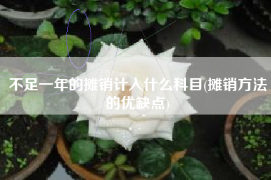 不足一年的摊销计入什么科目(摊销方法的优缺点)