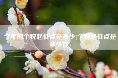 今年的个税起征点是多少(个税起征点是多少钱)