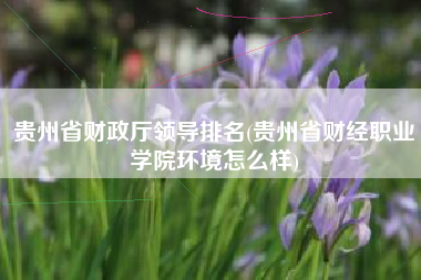 贵州省财政厅领导排名(贵州省财经职业学院环境怎么样)