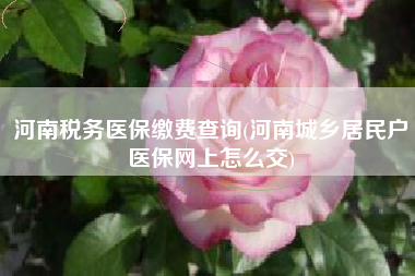 河南税务医保缴费查询(河南城乡居民户医保网上怎么交)
