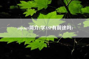 asp.net简介(学ASP有前途吗)