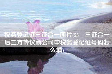 税务登记证三证合一图片(55 三证合一后三方协议新公司中税务登记证号码怎么填)