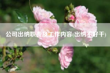 公司出纳职责及工作内容(出纳不好干)