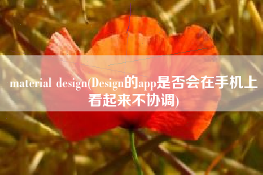 material design(Design的app是否会在手机上看起来不协调)