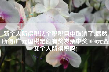 新个人所得税法个税税目中取消了:偶然所得(广元国税定额有奖发票中奖1000元要交个人所得税吗)