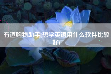 有道购物助手(想学英语用什么软件比较好)