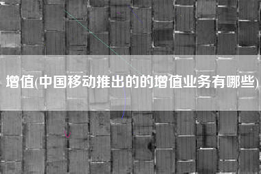 增值(中国移动推出的的增值业务有哪些)