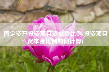 固定资产投资项目资本金比例(投资项目资本金比例如何计算)