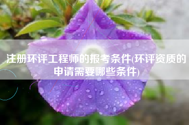 注册环评工程师的报考条件(环评资质的申请需要哪些条件)