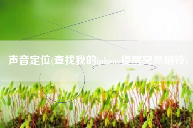 声音定位(查找我的iphone提醒突然响铃)