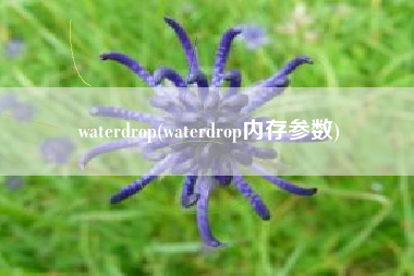 waterdrop(waterdrop内存参数)