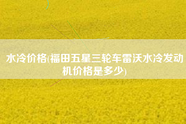 水冷价格(福田五星三轮车雷沃水冷发动机价格是多少)