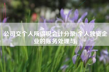公司交个人所得税会计分录(个人独资企业的账务处理与)