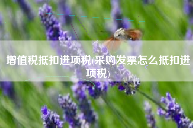 增值税抵扣进项税(采购发票怎么抵扣进项税)