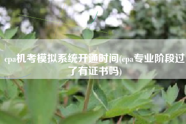 cpa机考模拟系统开通时间(cpa专业阶段过了有证书吗)