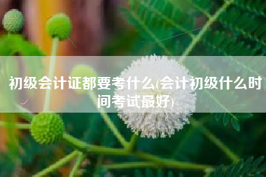 初级会计证都要考什么(会计初级什么时间考试最好)