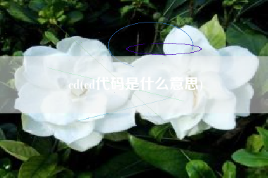 cd(cd代码是什么意思)