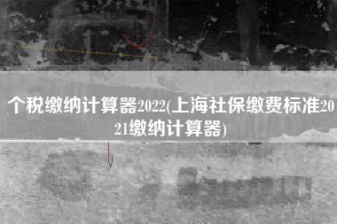 个税缴纳计算器2022(上海社保缴费标准2021缴纳计算器)