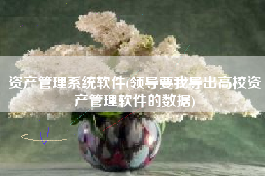 资产管理系统软件(领导要我导出高校资产管理软件的数据)