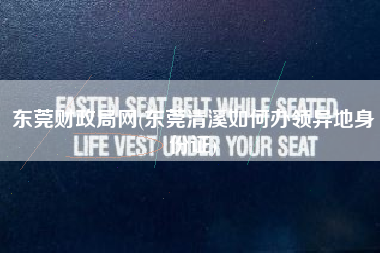 东莞财政局网(东莞清溪如何办领异地身份证)