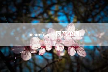 mouse(mouse同音单词)