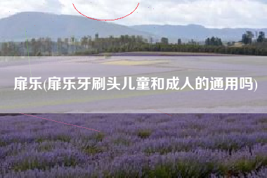 扉乐(扉乐牙刷头儿童和成人的通用吗)