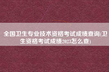 全国卫生专业技术资格考试成绩查询(卫生资格考试成绩2023怎么查)