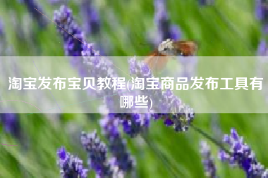 淘宝发布宝贝教程(淘宝商品发布工具有哪些)
