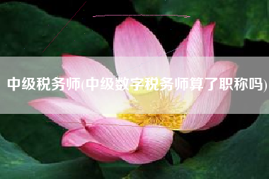 中级税务师(中级数字税务师算了职称吗)