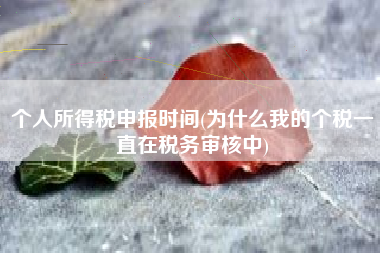 个人所得税申报时间(为什么我的个税一直在税务审核中)
