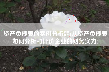 资产负债表的案例分析题(从资产负债表如何分析和评价企业的财务实力)