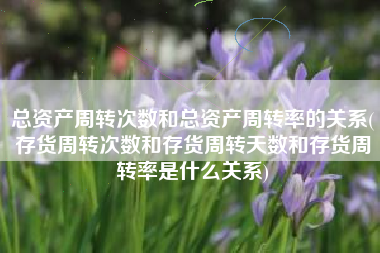 总资产周转次数和总资产周转率的关系(存货周转次数和存货周转天数和存货周转率是什么关系)