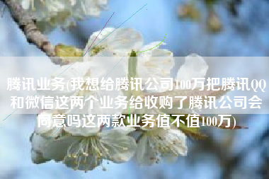 腾讯业务(我想给腾讯公司100万把腾讯QQ和微信这两个业务给收购了腾讯公司会同意吗这两款业务值不值100万)