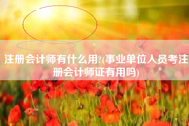 注册会计师有什么用?(事业单位人员考注册会计师证有用吗)
