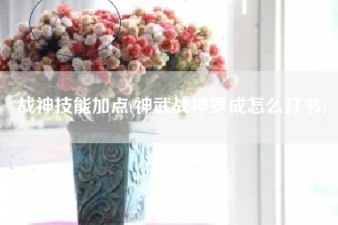 战神技能加点(神武战神罗成怎么打书)