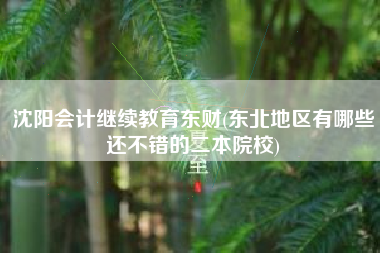 沈阳会计继续教育东财(东北地区有哪些还不错的二本院校)