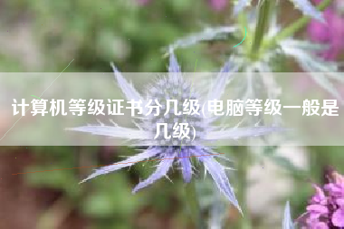 计算机等级证书分几级(电脑等级一般是几级)