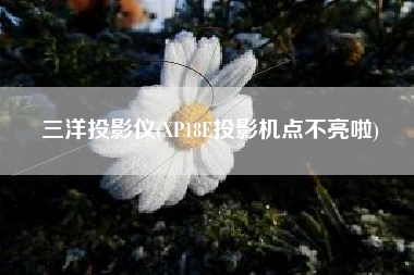 三洋投影仪(XP18E投影机点不亮啦)