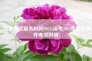 详细阅读:司法考试报名时间2023(法考2023年报名条件考试时间) 司法考试报名时间2023(法考2023年报名条件考试时间)