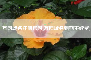 详细阅读:万网域名注册官网(万网域名到期不续费) 万网域名注册官网(万网域名到期不续费)
