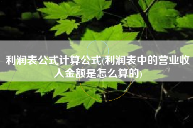 详细阅读:利润表公式计算公式(利润表中的营业收入金额是怎么算的) 利润表公式计算公式(利润表中的营业收入金额是怎么算的)
