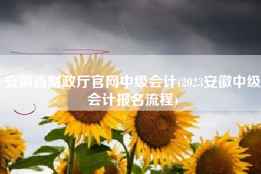 安徽省财政厅官网中级会计(2023安徽中级会计报名流程)