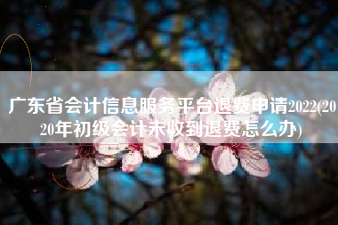 广东省会计信息服务平台退费申请2022(2020年初级会计未收到退费怎么办)