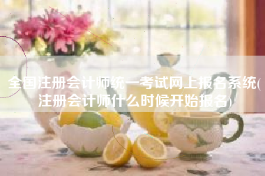 全国注册会计师统一考试网上报名系统(注册会计师什么时候开始报名)