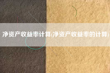 净资产收益率计算(净资产收益率的计算)