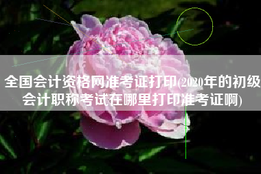 详细阅读:全国会计资格网准考证打印(2020年的初级会计职称考试在哪里打印准考证啊) 全国会计资格网准考证打印(2020年的初级会计职称考试在哪里打印准考证啊)
